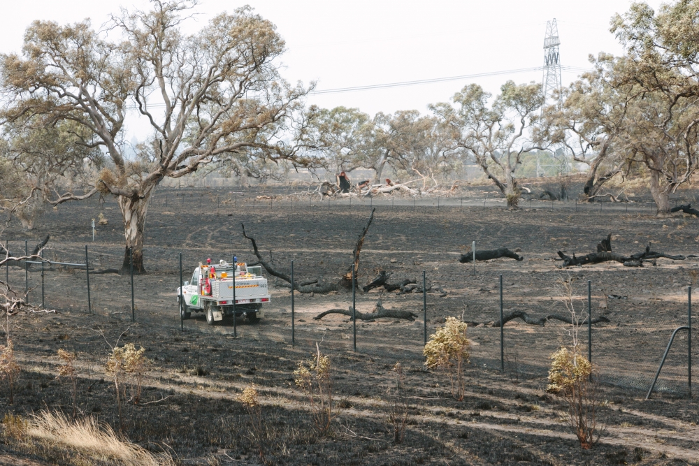 ATO Bushfire relief